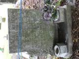 image of grave number 785842